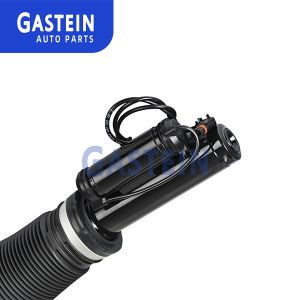 2213209313 Air Suspension Parts W221 Mercedes Benz Shock Absorbers