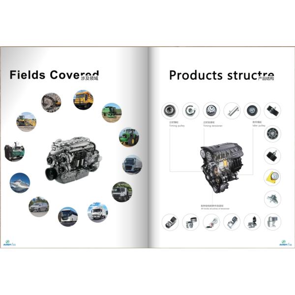 Heavy Duty Truck Kingpin Replacement For SAMTIN TIANXIN SHAMAN 9T OEM