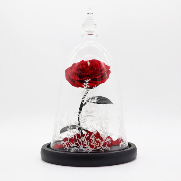 Buy Dried Beauty And The Beast Red Rose In Glass Gift Suitable For Decor Purposes at wholesale prices