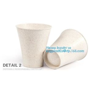 Custom Disposable Clear Cold Drink Juice Cup 100% Ecofriendly Biodegradable