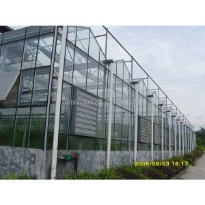 IGREEN Agricultural Venlo Glass Greenhouse to Grow Flowers and Seedlings