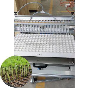 Vegetable Seedling Transplanting Machine with Pneumatic Sowing and 304 Stainless