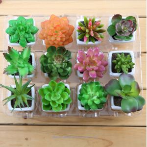 Artificial succulent plants