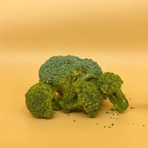Hot Sale Dried Vegetables Vacuum Natural Dehydrated Broccoli Wholesale Prices