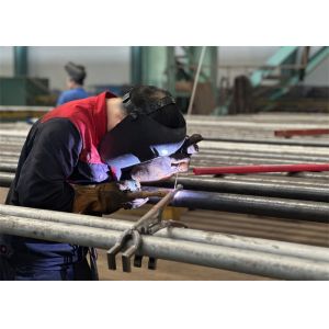 Customized Superheater And Reheater High Pressure With Low Maintenance