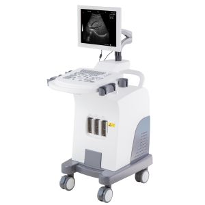 Trolley Ultrasound Machine Echo Price
