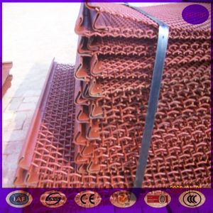 High quality Vibrating Screen Mesh for Grizzly Agitation Tank