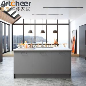 Budget-Friendly Modern Kitchen Cabinets And Furniture With Beveled Edge
