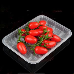 HLD-470 PP plastic fast food tray container machinery