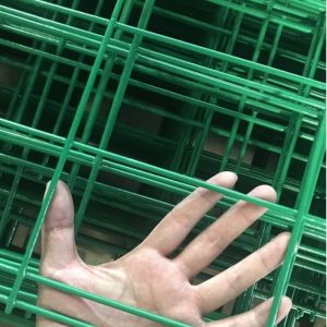 Garden Fence Panels Pvc Coated 3d Wire Mesh Fence with 3d Curved Fence Netting