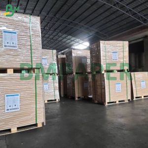 Premium Surface Thermal Coating Paper Material With Excellent Readability