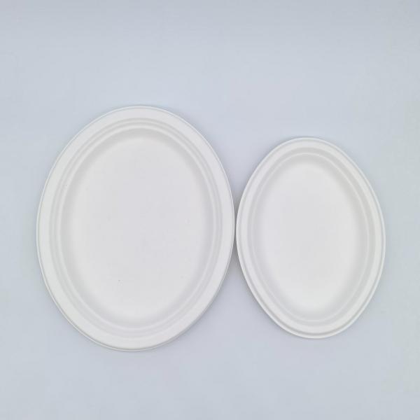 Environmental Protection Sturdy Biodegradable Bagasse Plates Bagasse Pulp