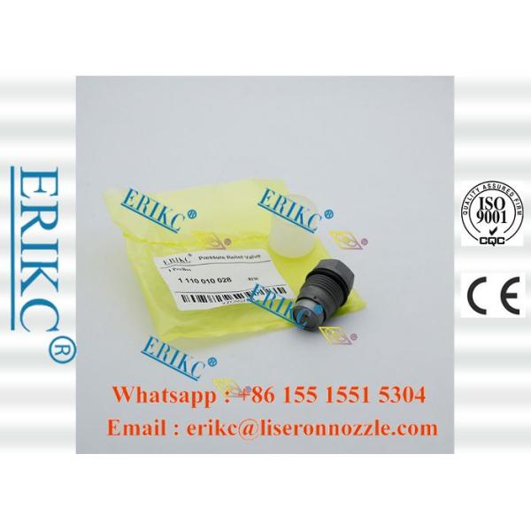 5317174 Bosch Cummins Fuel Rail Pressure Relief Valve 1110010028 4047024016019