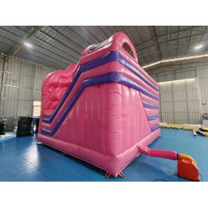 Digital Printing Inflatable Bounce House With Slides Disney Princess Inflatable