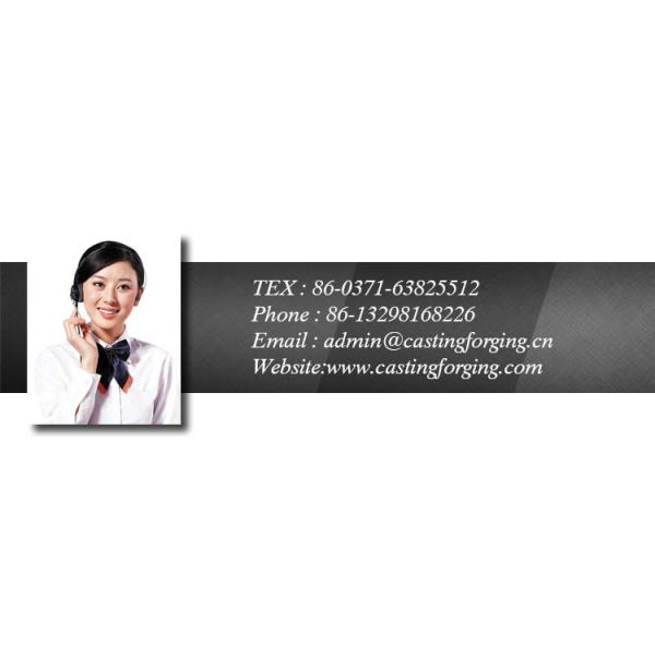 OEM Cast Iron HT-250 Auto Engine Cylinder Block Castings with Lost Foam Casting Process