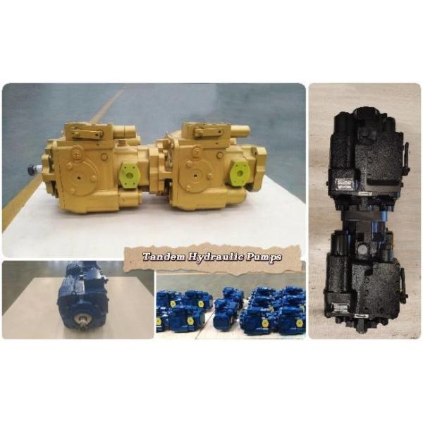 Agricultural machinery hydraulic tandem pump