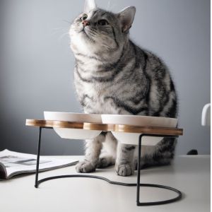 Elevated Ceramic Dog Cat Bowls for Food and Water