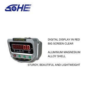 High Strength Hook Included Customized OBM Supported 3t Digital Display Hanging