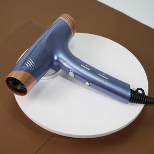 Durable Compact Folding Hair Dryer DC Motor Brushless Blow Dryer