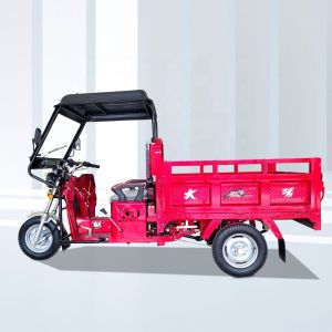 Speed Cargo Tricycle for Dubai and Morocco International Trade Maximum Speed