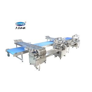 Skywin Servo Motors Automatic Biscuit Packing Machine