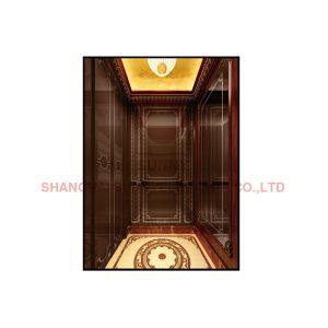 Residential Passenger Elevator Home Mini Lift For Indoor Outdoor Use