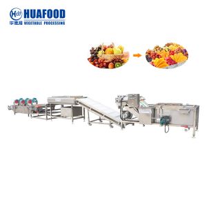 Fruit Washer / Vegetable Washing Machine Clean Vegetable Processing Line Fruit