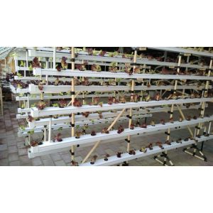 Chinese factory industrial hydroponics growing systems NFT for sale