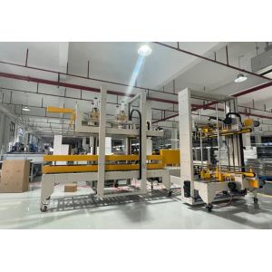 Automatic Multifunctional Case Packaging Equipment Carbon Steel Side Sealer