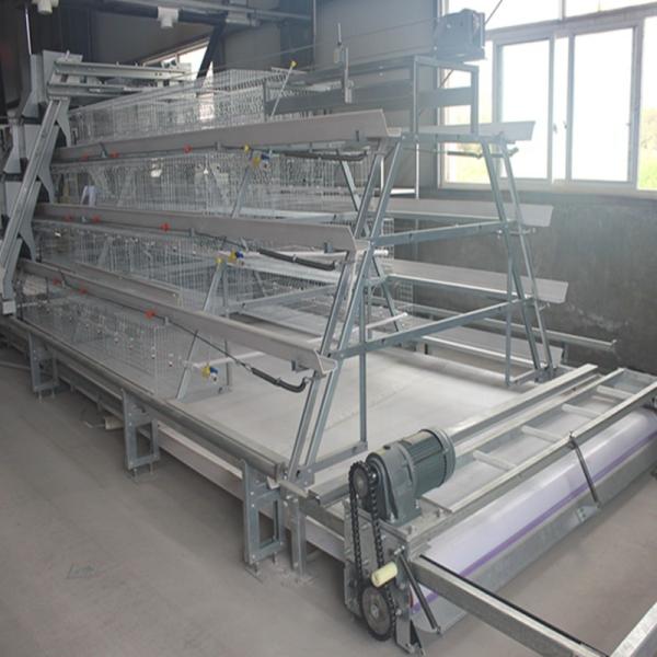 Buy SONCAP Poultry Broiler Chicken Cage Equipment Coop For Layer at wholesale prices