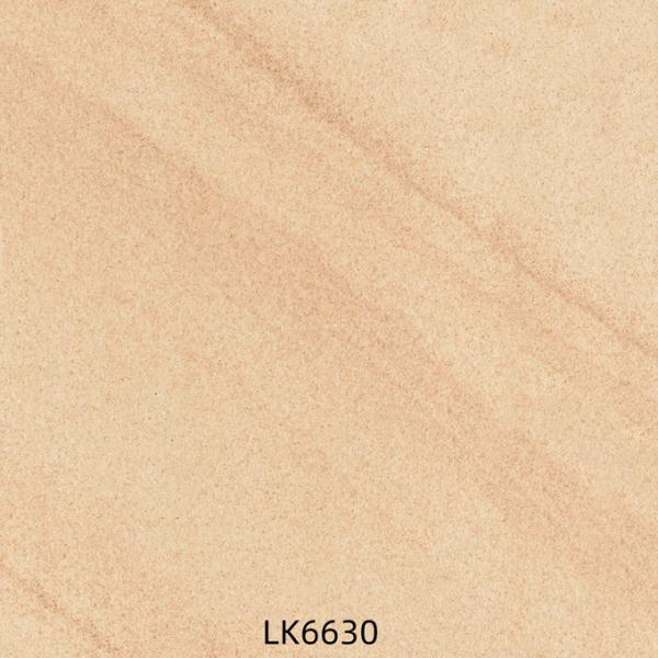 600x600mm Antibacterial Full Body Porcelain Tiles AAA Grade