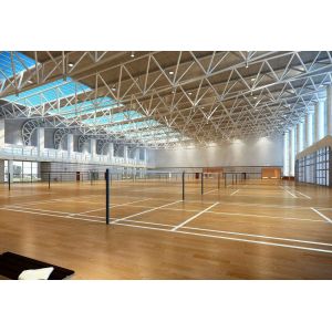 Prefabricated Modern Badminton Hall Steel Frame Structure Sport Hall