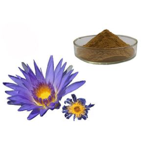 China Nymphaea Caerulea Flower Powder Blue Lotus Organic Herbal Extracts on sale