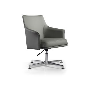classical modern Shared Workspace Furniture lounge chair