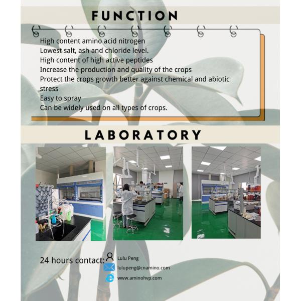 Hydrolysate Protein Nitrogen Fertilizer Free Amino Acid 80% Organic Fertilizer