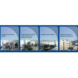 Foshan Ruyi Furniture Co.,Ltd