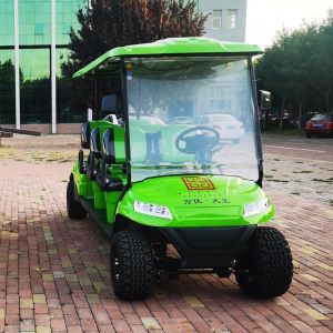 30mph Golf Cart Low Speed utility Vehicle 6 Passengers LSV CE Certificated