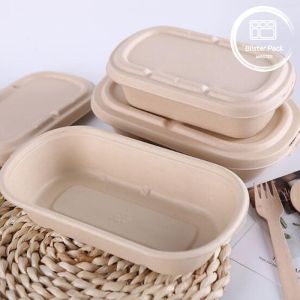 Biodegradable 2 Compartment Bagasse Sugarcane Bento Box - Sustainable Disposable