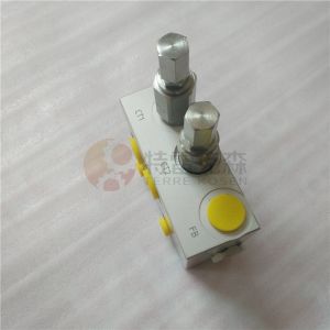 Quality TEREX 15253248 VALVE-MONOBLOCK for terex tr100 truck for sale