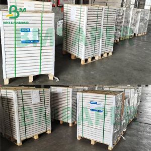 200um Poster Paper Satih Matte Finish Waterproof Tear Resistant