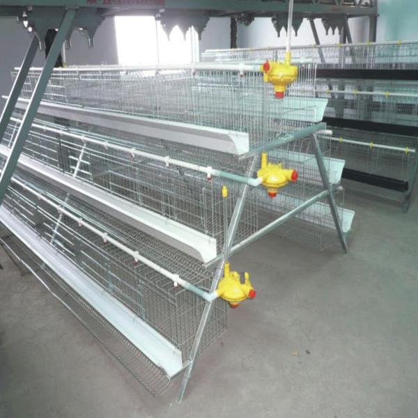 Buy 120 Birds Capacity Poultry Battery Chicken Eggs Cage New Design at wholesale prices