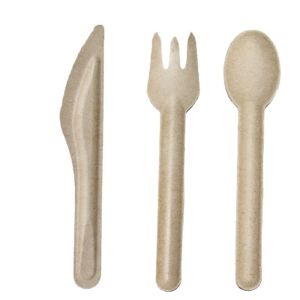 Bulk Eco Disposable Sugarcane Compostable Cutlery Tableware 16CM