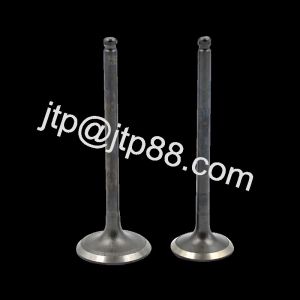 Car EH100 Diesel Engine Valve For Cumins Engine Parts 13711-1200A 13715-1350A