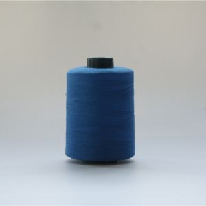 Fire Resistance Meta Aramid Sewing Thread 40TEX Royal Blue
