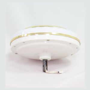 Household 12V Dc Remote Control Blade Ceiling Fan With Adapter