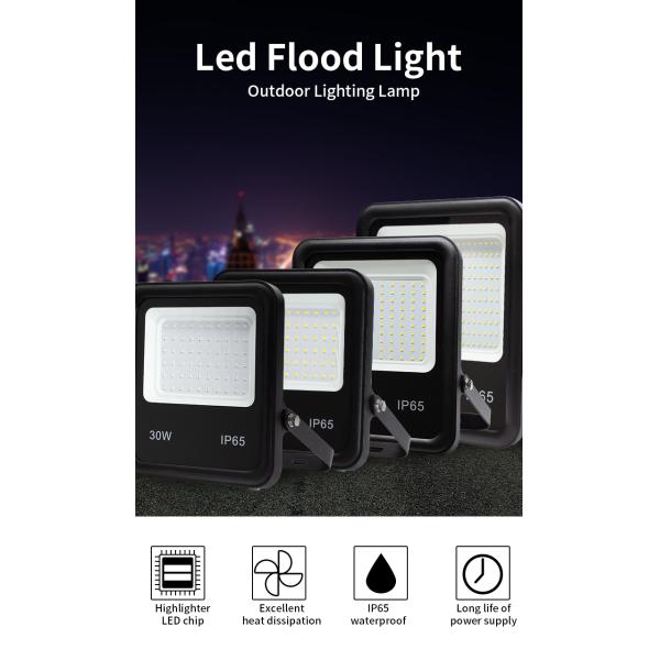 30W 50w 80w 100w 200w 300w Outdoor Wall Flood Lights High Power Super Bright 12V
