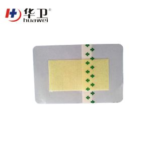 Emergency  Transparent Wound Dressing With Absorbent Pad Free Sample
