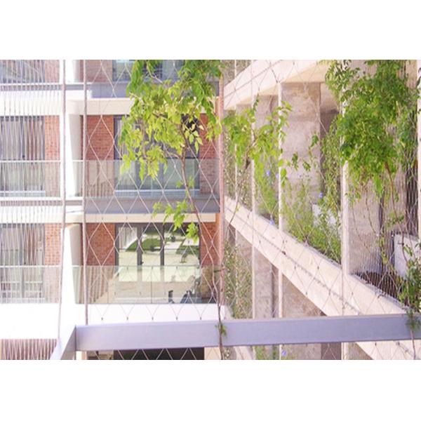 Stainless Steel Wire Rope Green Wall Mesh 304 304L 316 316L