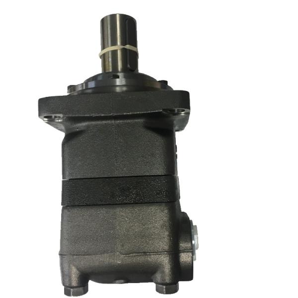 Danfoss Hydraulic Pump OMV400151B3101 High Efficiency High Reliability High