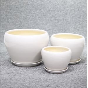 Quality Stunning Plant Display With Our Ceramic Pots Affordable Prices for sale